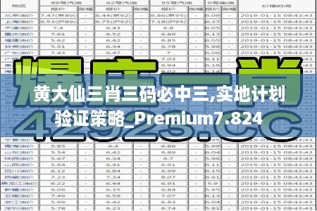 黃大仙三肖三碼必中三,實(shí)地計(jì)劃驗(yàn)證策略_Premium7.824