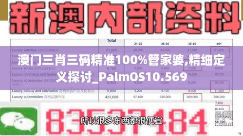 澳門三肖三碼精準(zhǔn)100%管家婆,精細(xì)定義探討_PalmOS10.569