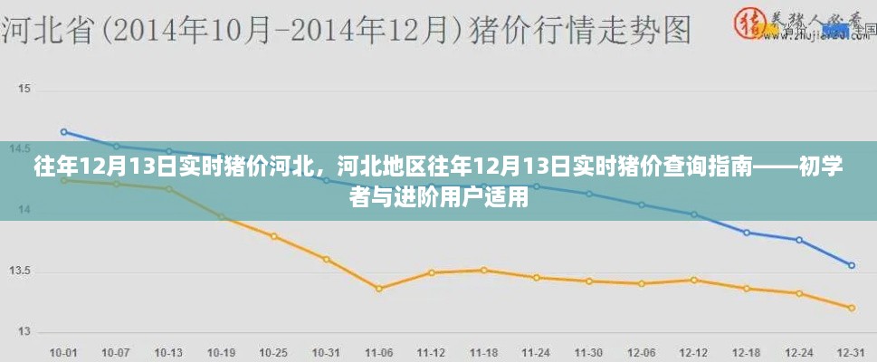 河北地區(qū)歷年12月13日實時豬價查詢指南，初學者與進階用戶必備參考