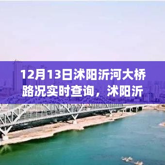 沭陽(yáng)沂河大橋?qū)崟r(shí)路況深度解析，影響與價(jià)值探討