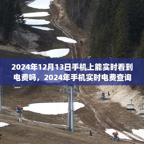 2024年手機實時電費查詢，便捷生活一觸即發(fā)