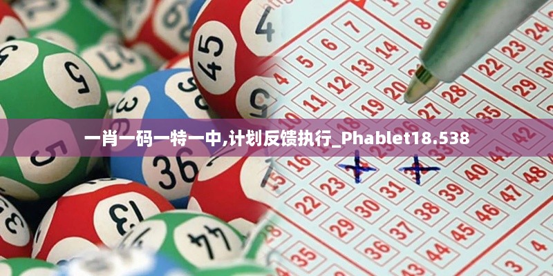 一肖一碼一特一中,計(jì)劃反饋執(zhí)行_Phablet18.538