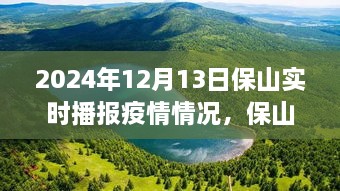 保山疫情實(shí)時(shí)播報(bào)與美景之旅，心靈避風(fēng)港，啟程尋找內(nèi)心寧?kù)o與奇跡之旅（XXXX年XX月XX日）