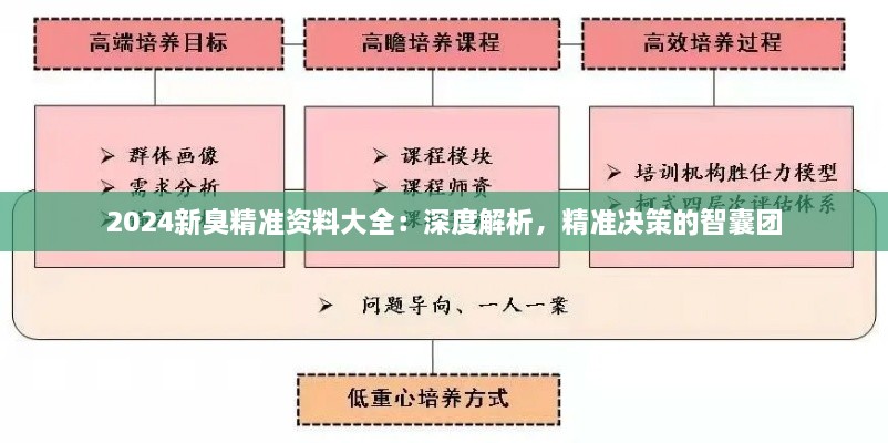 2024新臭精準(zhǔn)資料大全：深度解析，精準(zhǔn)決策的智囊團(tuán)