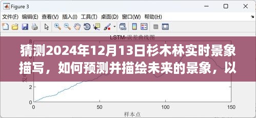 預(yù)測與描繪未來，杉木林在2024年12月13日的實(shí)時(shí)景象