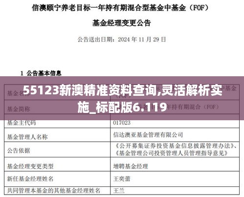 55123新澳精準資料查詢,靈活解析實施_標配版6.119