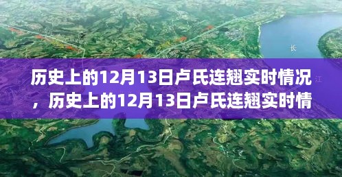 探索歷史上的盧氏連翹實時情況，指南與手冊揭秘盧氏連翹奧秘