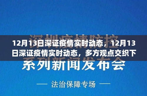 多方觀(guān)點(diǎn)交織下的洞察與反思，12月13日深證疫情實(shí)時(shí)動(dòng)態(tài)分析