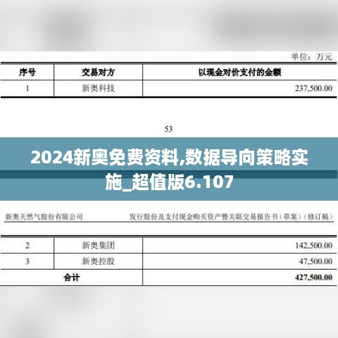 2024新奧免費資料,數(shù)據(jù)導向策略實施_超值版6.107