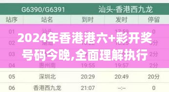 2024年香港港六+彩開獎(jiǎng)號(hào)碼今晚,全面理解執(zhí)行計(jì)劃_尊貴款6.356