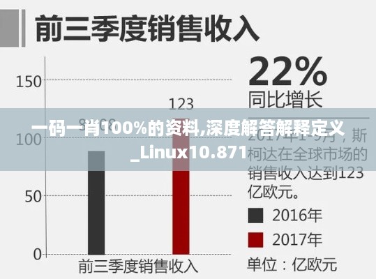 一碼一肖100%的資料,深度解答解釋定義_Linux10.871