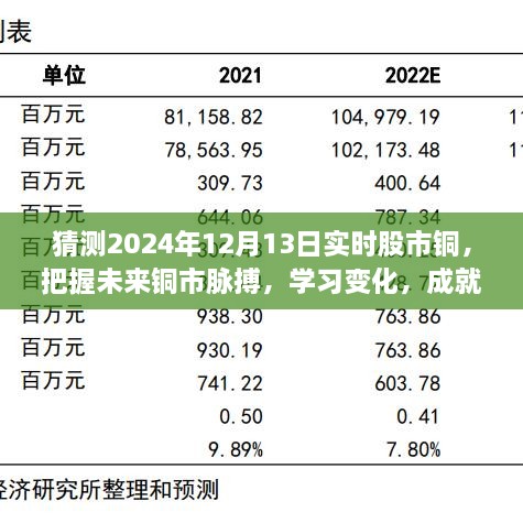 揭秘2024年12月13日股市銅市走向，洞悉變化成就投資夢想