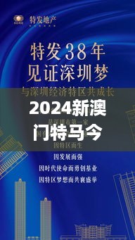 2024新澳門特馬今晚開什么,實(shí)地執(zhí)行考察方案_6DM19.732