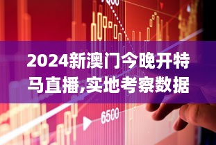 2024新澳門今晚開特馬直播,實地考察數(shù)據(jù)策略_Premium10.593