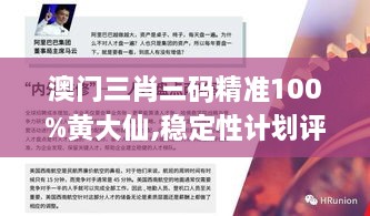 澳門三肖三碼精準(zhǔn)100%黃大仙,穩(wěn)定性計劃評估_WearOS7.187