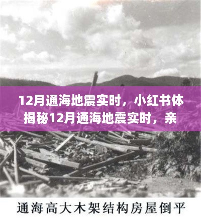 揭秘通海地震親歷者真實(shí)感受與應(yīng)對(duì)策略，小紅書實(shí)時(shí)更新地震動(dòng)態(tài)！