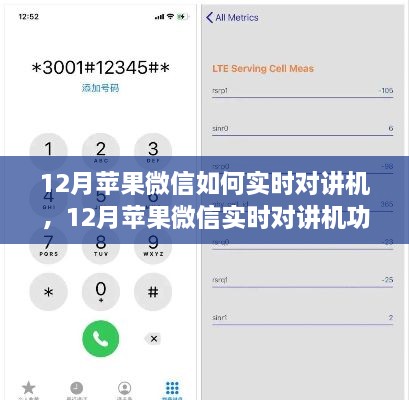 12月蘋果微信實(shí)時對講機(jī)功能使用指南，步驟詳解與操作技巧
