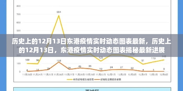 歷史上的12月13日東港疫情最新實(shí)時(shí)動(dòng)態(tài)圖表揭秘，實(shí)時(shí)更新與進(jìn)展追蹤