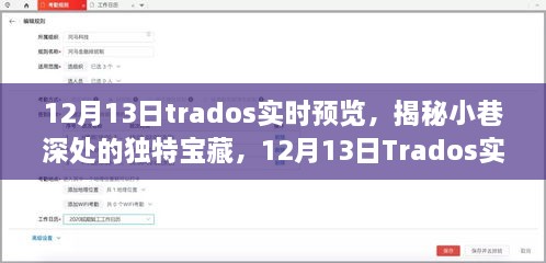 揭秘小巷深處的獨(dú)特寶藏，Trados實(shí)時(shí)預(yù)覽之旅（12月13日）