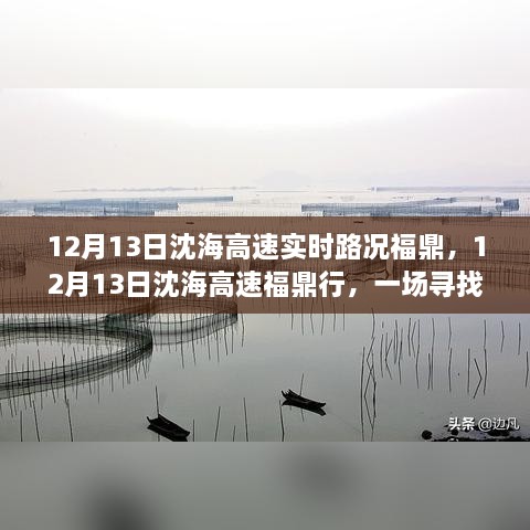 12月13日沈海高速福鼎路況實(shí)時(shí)更新，心靈與自然之旅的親密接觸