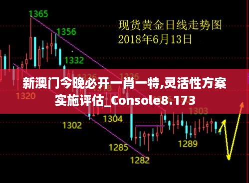 新澳門今晚必開一肖一特,靈活性方案實(shí)施評估_Console8.173