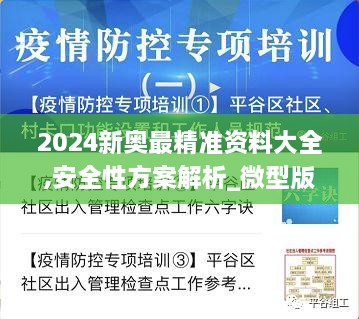 2024新奧最精準資料大全,安全性方案解析_微型版6.818