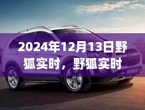 野狐實時，溫馨日常中的歡樂時光（2024年12月13日）