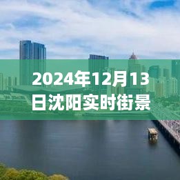 沈陽獨家揭秘，2024年實時街景地圖全解析，領略城市新風貌