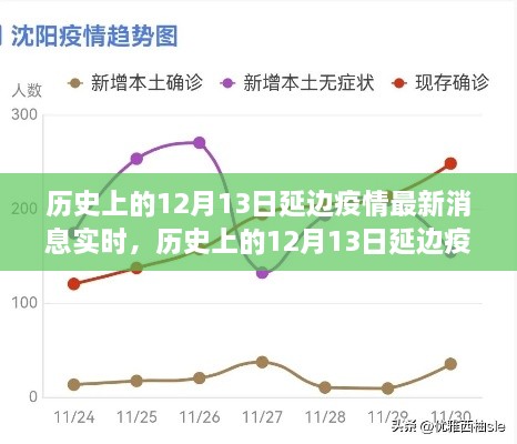 多維度視角下的深度分析，歷史上的延邊疫情最新消息實時報道與解讀（截至12月13日）