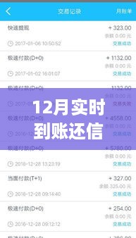 12月實(shí)時(shí)到賬，高效管理信用卡欠款，輕松還信用卡