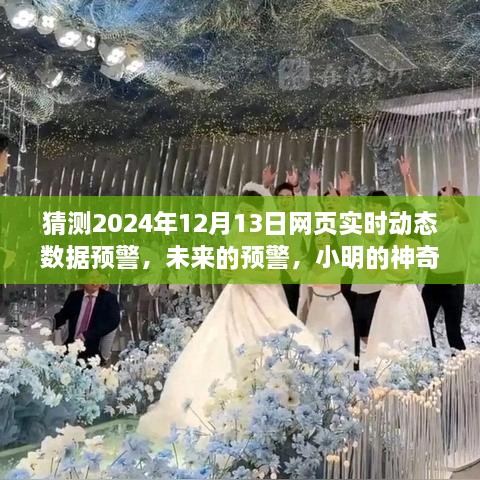 小明預(yù)測未來，神奇數(shù)據(jù)故事揭示2024年12月13日網(wǎng)頁實時動態(tài)數(shù)據(jù)預(yù)警