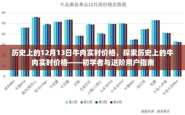 歷史上的牛肉實時價格探索，從入門到進階的指南