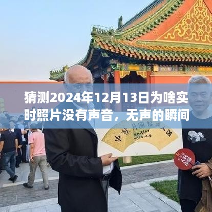 揭秘?zé)o聲瞬間背后的故事，為何2024年實(shí)時(shí)照片無聲開啟學(xué)習(xí)與成長之旅？