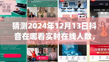 未來(lái)視野之旅，揭秘2024年抖音實(shí)時(shí)在線人數(shù)盛況——家庭日，在線情緣的見證