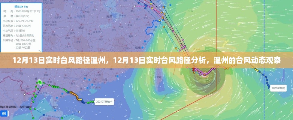 12月13日溫州臺風(fēng)路徑實時分析，最新動態(tài)與觀察報告