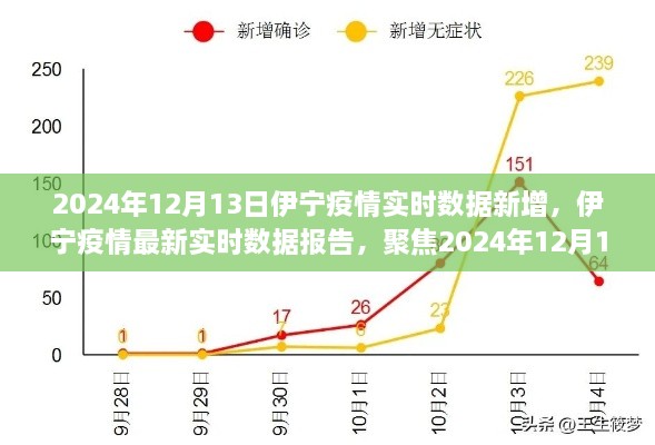 2024年12月13日伊寧疫情實(shí)時數(shù)據(jù)報(bào)告，聚焦最新新增情況