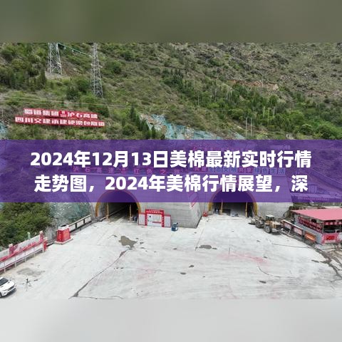 深度解析，2024年美棉行情展望與實時走勢圖背后的爭議