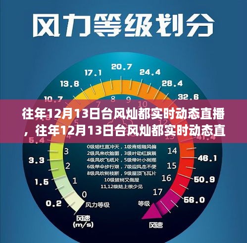 往年12月13日臺風(fēng)燦都實時動態(tài)深度解析與案例分析直播回顧