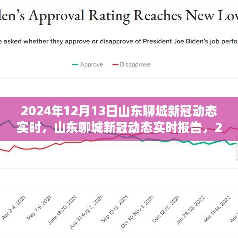 山東聊城新冠疫情動態(tài)報告，回顧與展望（2024年12月13日）