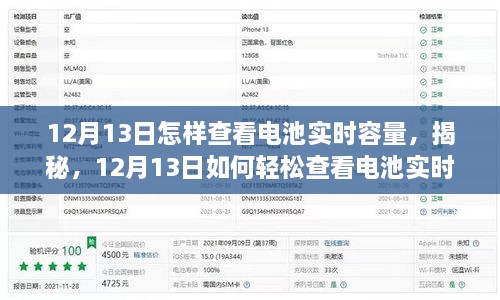 揭秘，如何輕松查看電池實(shí)時(shí)容量（12月13日指南）