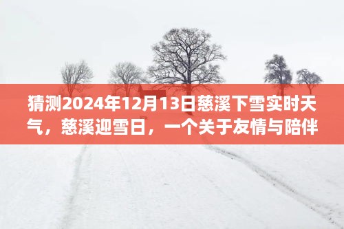 慈溪雪日溫情，友情與陪伴的溫馨故事，預測2024年12月13日實時天氣