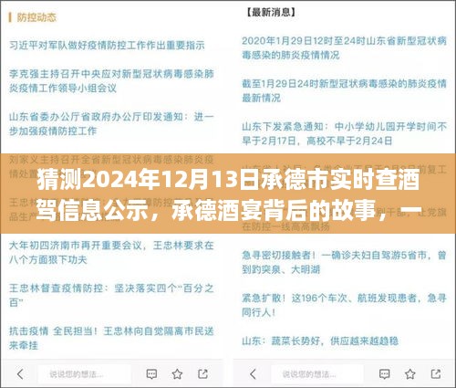 承德酒宴背后的故事，酒駕信息公示探秘之旅（猜測2024年12月13日承德市實時查酒駕信息公示）