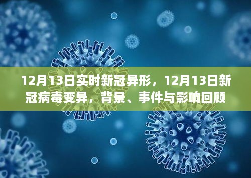 回顧，新冠病毒變異背景、事件與影響——以12月13日新冠病毒變異為例