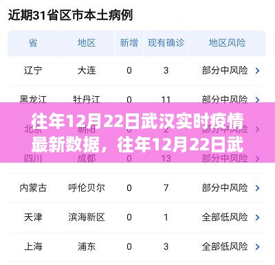 往年12月22日武漢實(shí)時(shí)疫情數(shù)據(jù)深度解析，特性、體驗(yàn)、競品對比及用戶群體分析報(bào)告