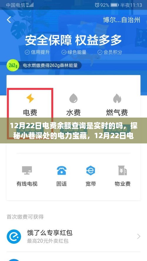 探秘小巷深處的電力寶藏，揭秘12月22日電費(fèi)余額查詢(xún)實(shí)時(shí)性揭秘