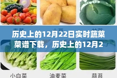 歷史上的12月22日實(shí)時(shí)蔬菜菜譜下載，價(jià)值探討與觀點(diǎn)論述