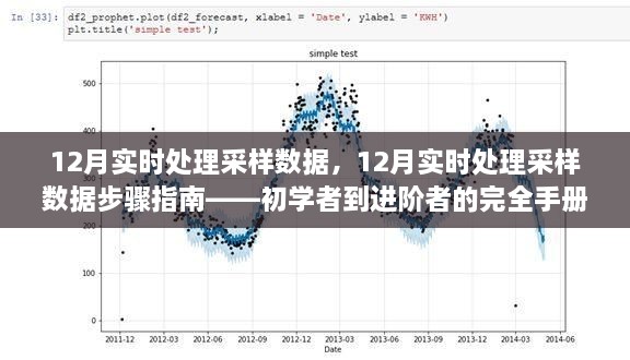 從新手到高手，12月實時處理采樣數(shù)據(jù)的完全指南與步驟解析