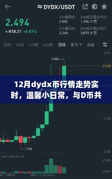 12月dydx幣行情下的快樂時光，實時走勢與溫馨日常