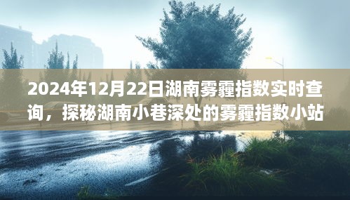 探秘湖南小巷深處，霧霾指數(shù)小站實時查詢之旅（2024年12月22日）