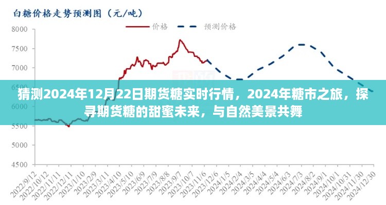 探尋期貨糖的甜蜜未來(lái)，預(yù)測(cè)2024年糖市行情與期貨糖實(shí)時(shí)行情展望